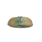 Aurora Croc Embossed Fanny Pack